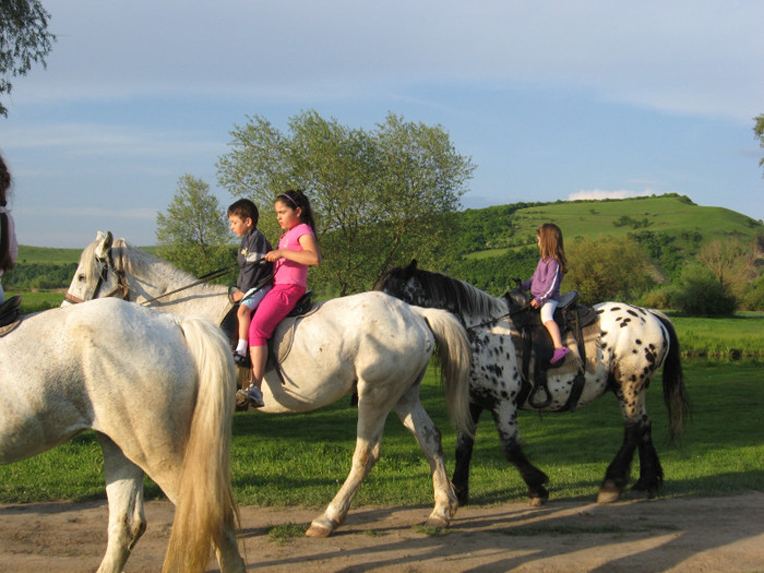 IMG_1204 - ECHITATIE 2011