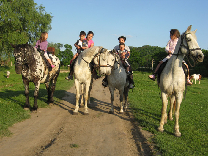 IMG_1205 - ECHITATIE 2011