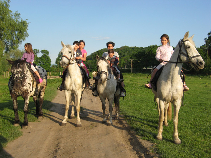 IMG_1206 - ECHITATIE 2011