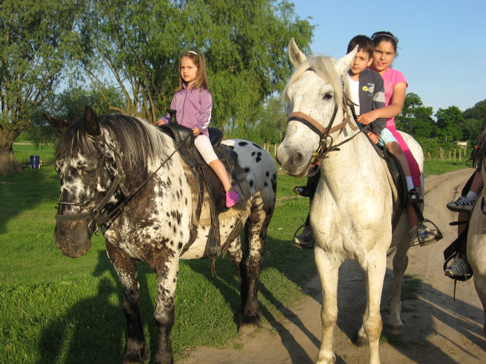 IMG_1207 - ECHITATIE 2011