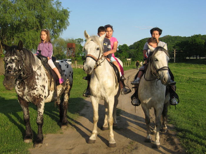 IMG_1208 - ECHITATIE 2011