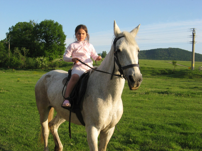 IMG_1210 - ECHITATIE 2011