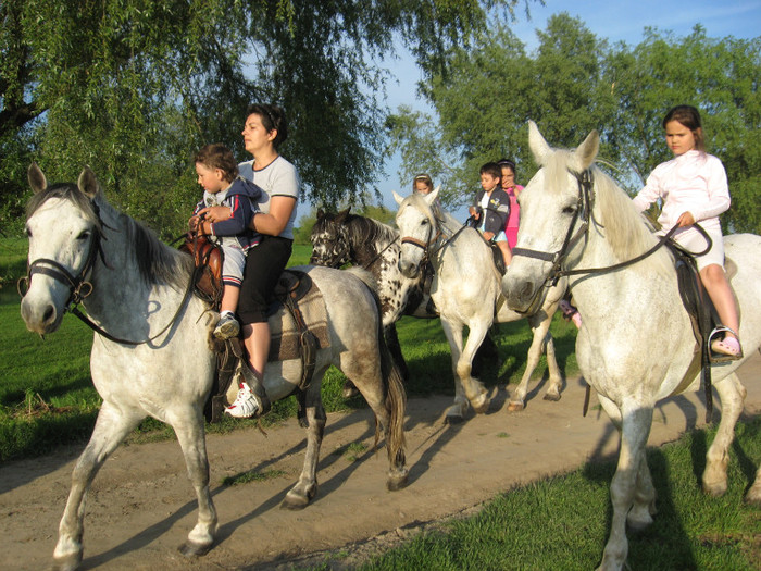 IMG_1211 - ECHITATIE 2011