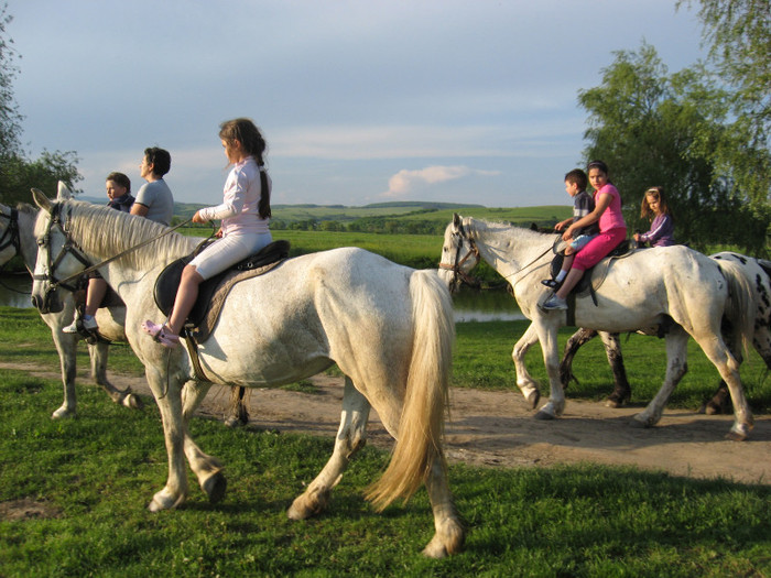 IMG_1212 - ECHITATIE 2011