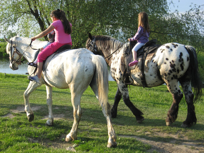 IMG_1213 - ECHITATIE 2011