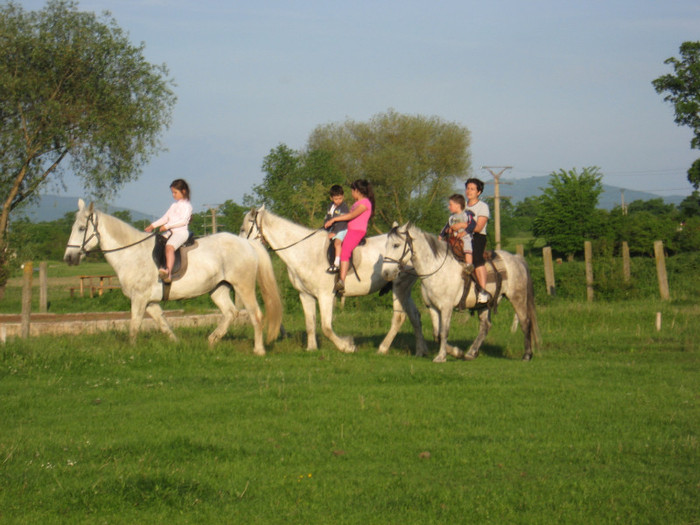 IMG_1215 - ECHITATIE 2011