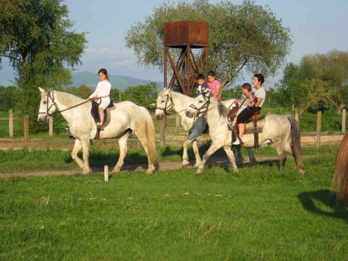 IMG_1216 - ECHITATIE 2011