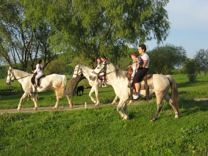 IMG_1217 - ECHITATIE 2011