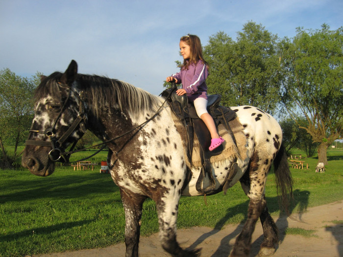 IMG_1219 - ECHITATIE 2011