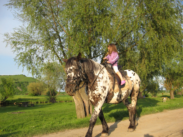 IMG_1220 - ECHITATIE 2011