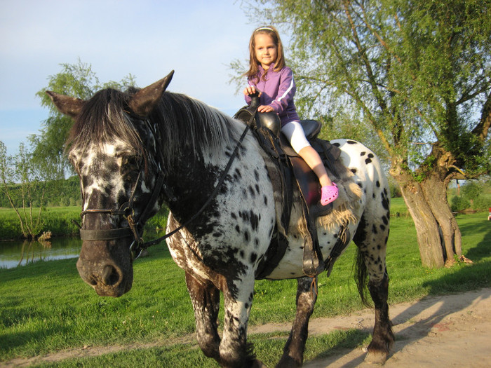 IMG_1221 - ECHITATIE 2011