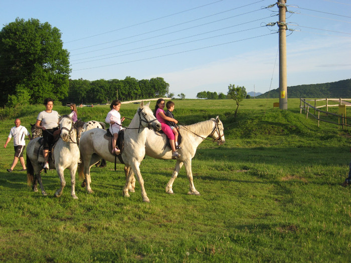 IMG_1225 - ECHITATIE 2011