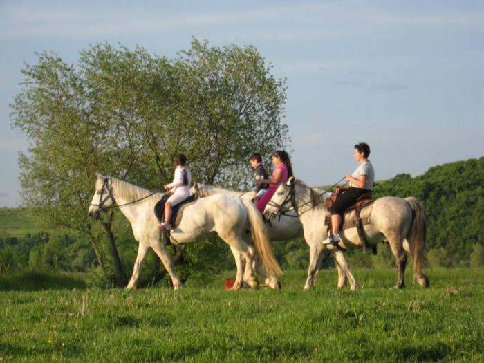 IMG_1237 - ECHITATIE 2011