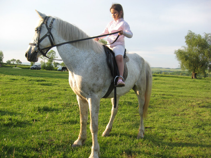 IMG_1239 - ECHITATIE 2011