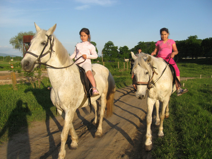 IMG_1240 - ECHITATIE 2011