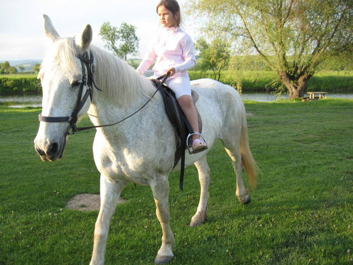 IMG_1242 - ECHITATIE 2011