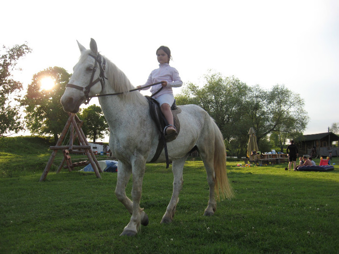 IMG_1244 - ECHITATIE 2011