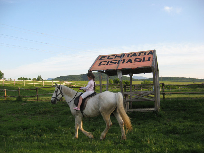 IMG_1247 - ECHITATIE 2011