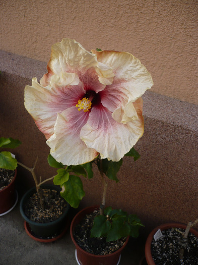 P1070137