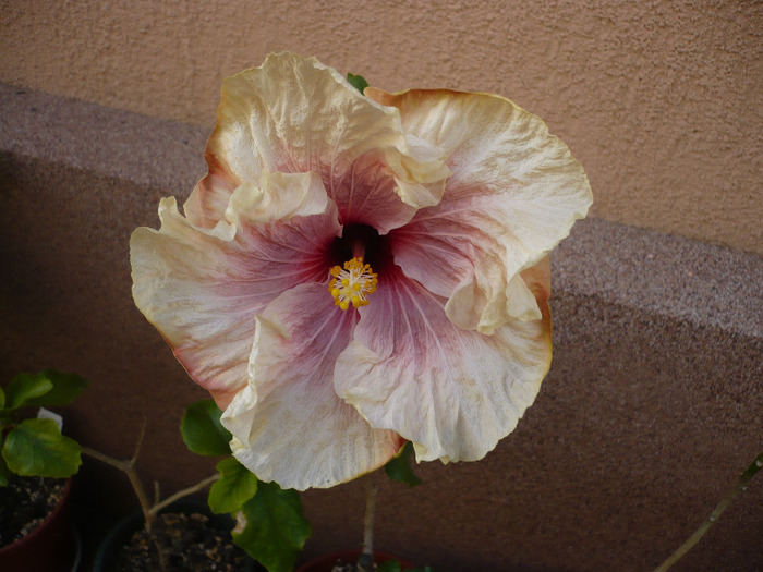 P1070135