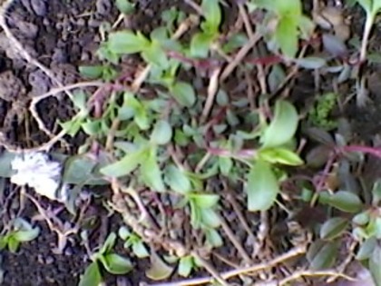 Copy (3) of SP_A1402