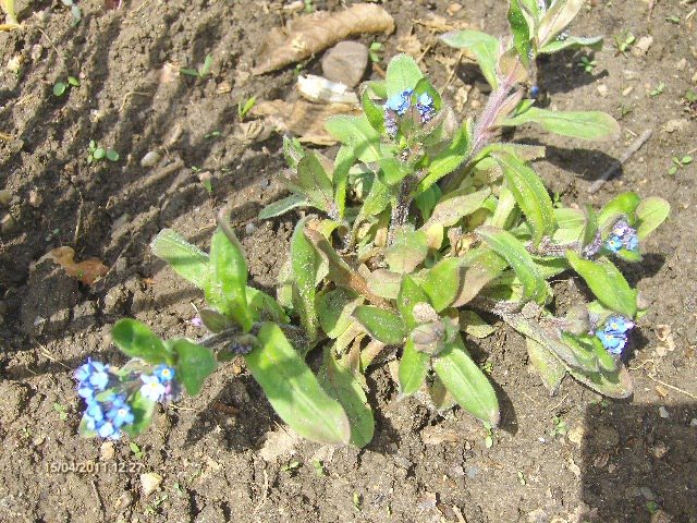 041 - 04_APRILIE