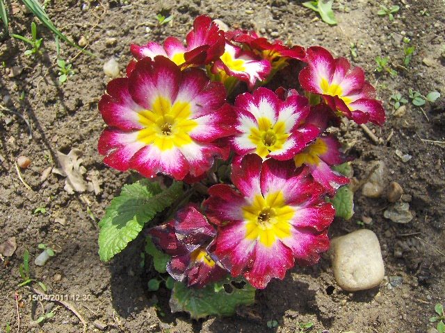 049 - 04_APRILIE