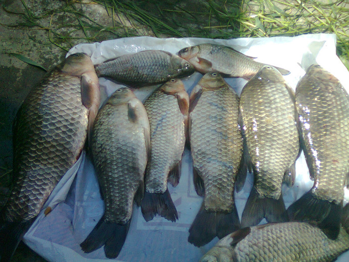 23.05.2011 - pescuit