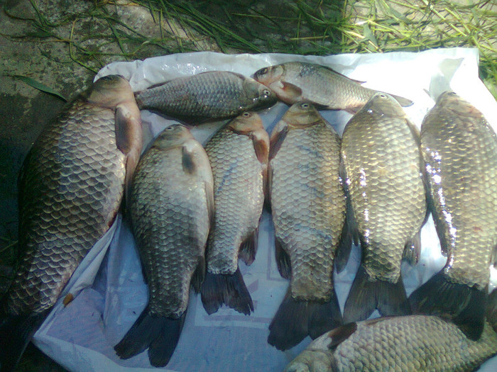23.05.2011 - pescuit