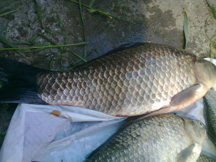 23.05.2011 - pescuit
