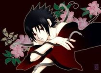 MissMisa
