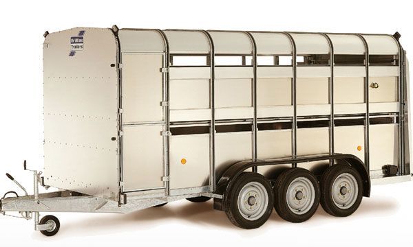 remorca pentru transportat oi