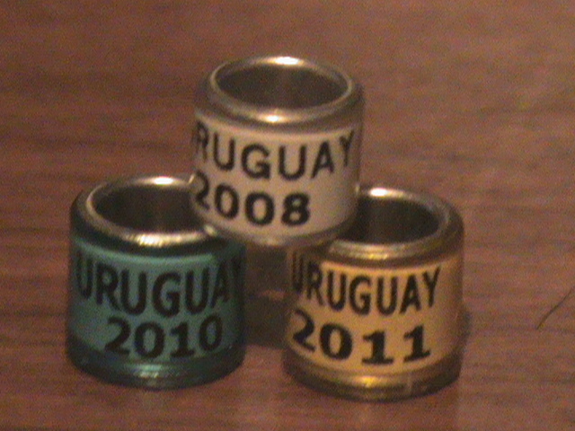 DSC02944 - Uruguay