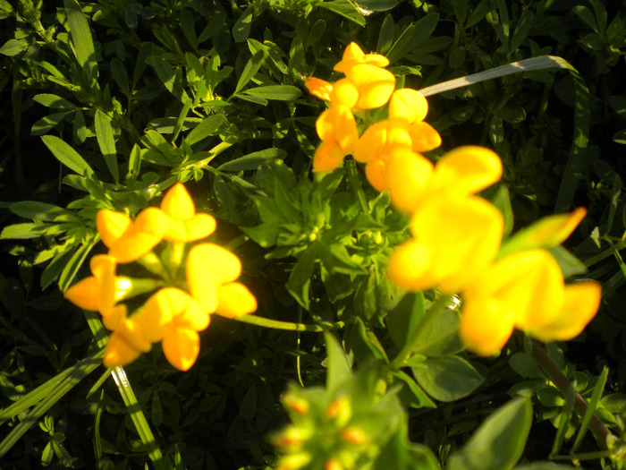 DSCN1074
