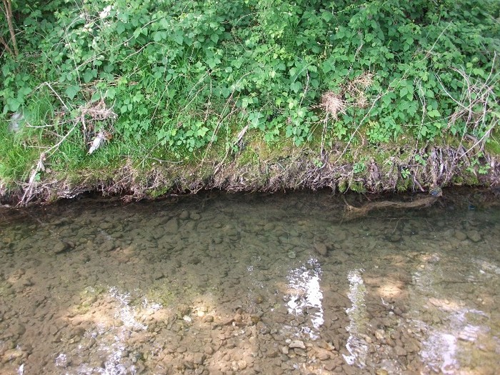 imaginile mele 544 - MAI 2011