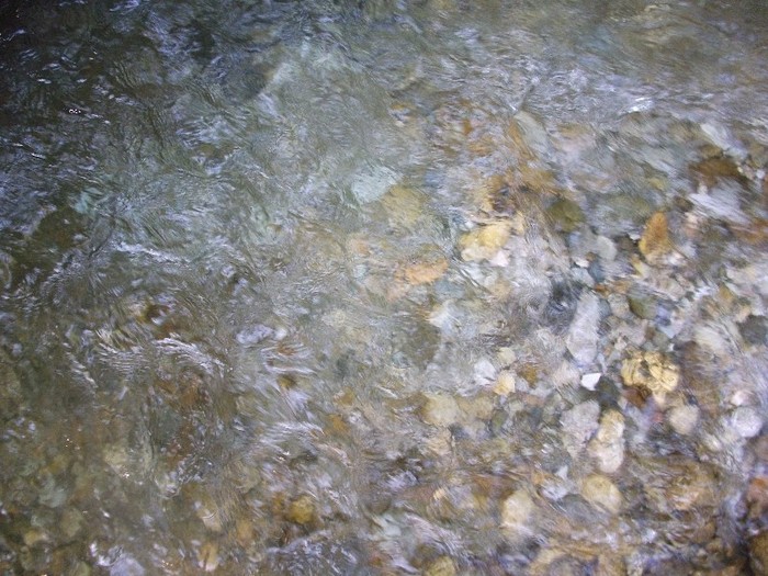 imaginile mele 623 - MAI 2011