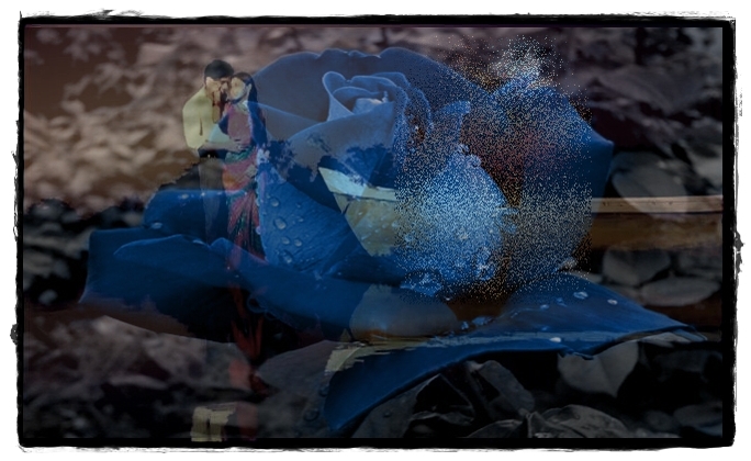 180382_145921118801678_100001513711537_282218_51lili75727_n