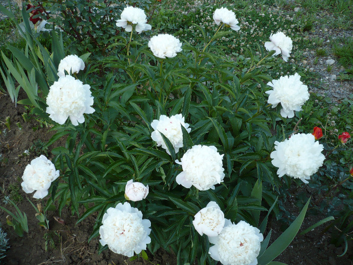 055