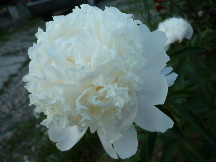 057
