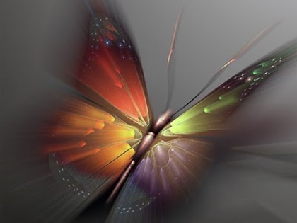 Butterfly_Art - artistic photos