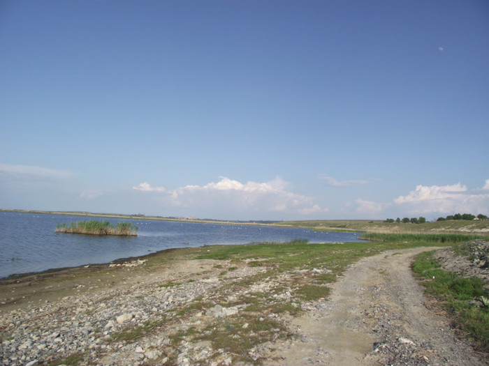 DSCF3424 - somova delta dunarii foto
