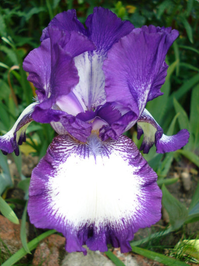 52. "Going My Way", 26.05.2011