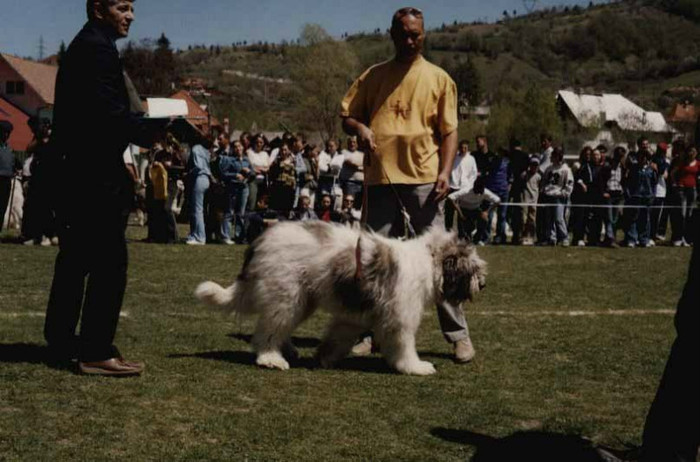 rucar 3- 2005 - Expo Pastoralis Rucar 2005