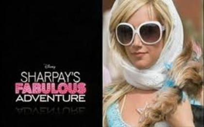 images (20) - sharpays fabulos adventure