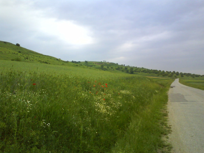 Sat Tiu, Dolj; 26 mai 2011
