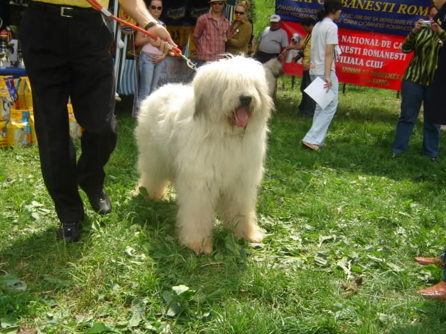 cluj 2006-19