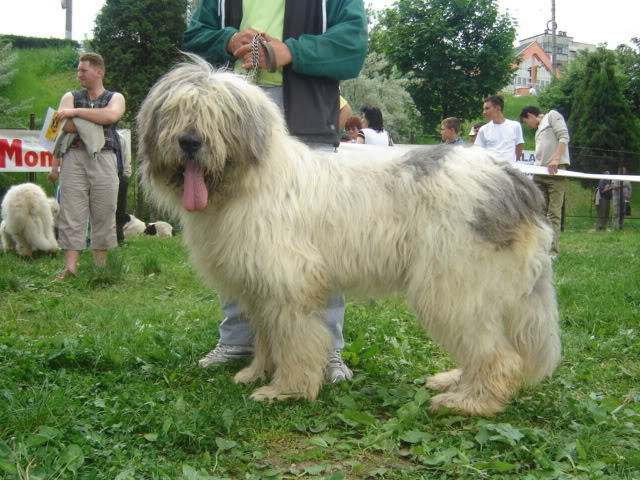 cluj 2006-21