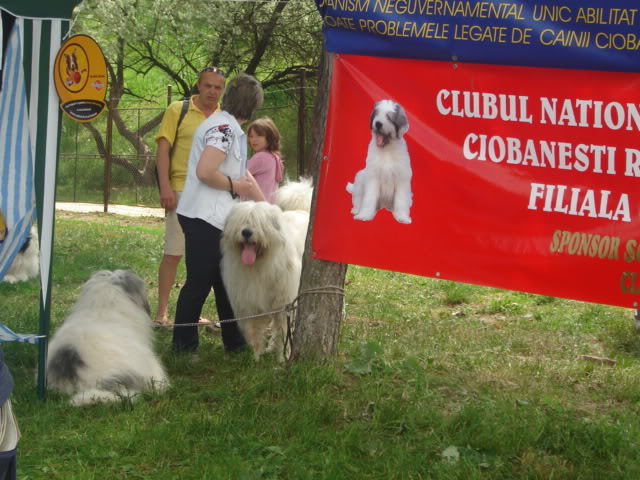 cluj 2006-9 - Cluj 19-05-2006