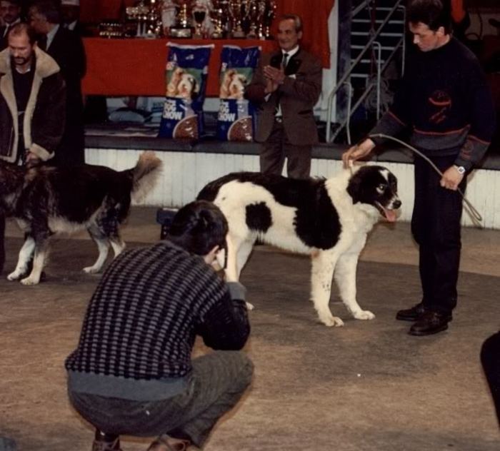 Finala Bucuresti 1998 1