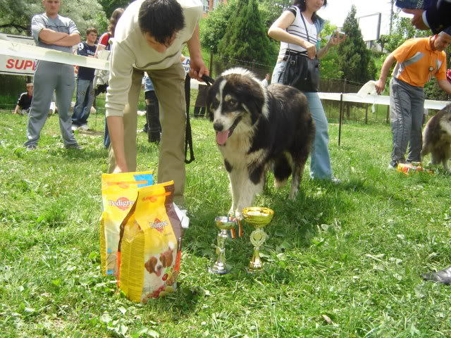 cluj 2006-24 - Standardul oficial al rasei ciobanesc romanesc carpatin